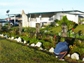 Hostal Llano Lindo-Agroturismo